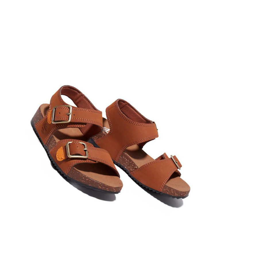 Kids' Timberland Castle Island Backstrap Junior Sandals Brown | VGB-964327