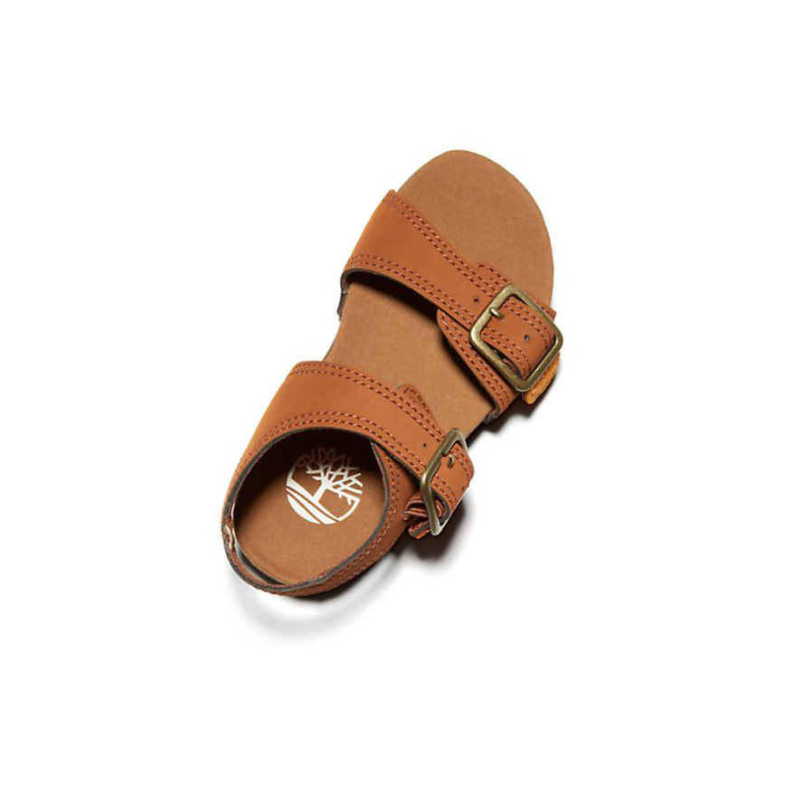 Kids' Timberland Castle Island Toddler Sandals Brown | GTW-198236