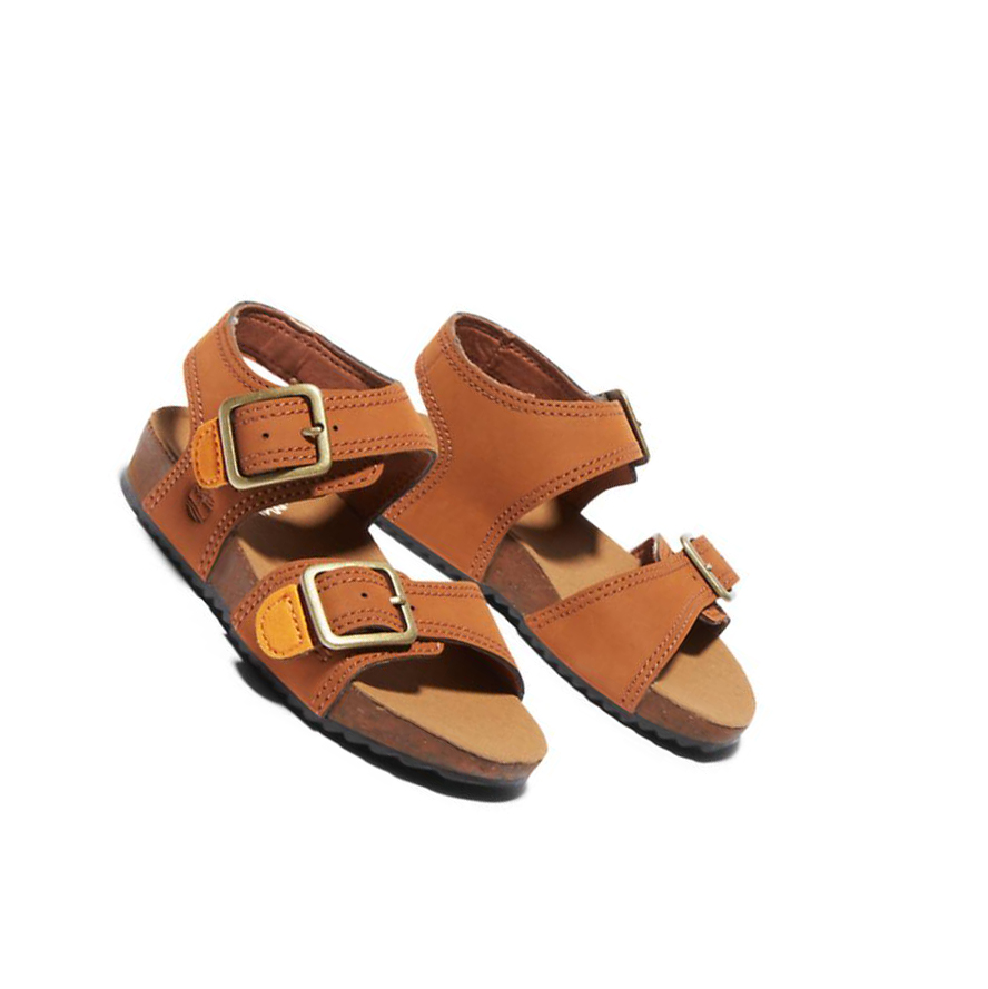 Kids' Timberland Castle Island Toddler Sandals Brown | GTW-198236