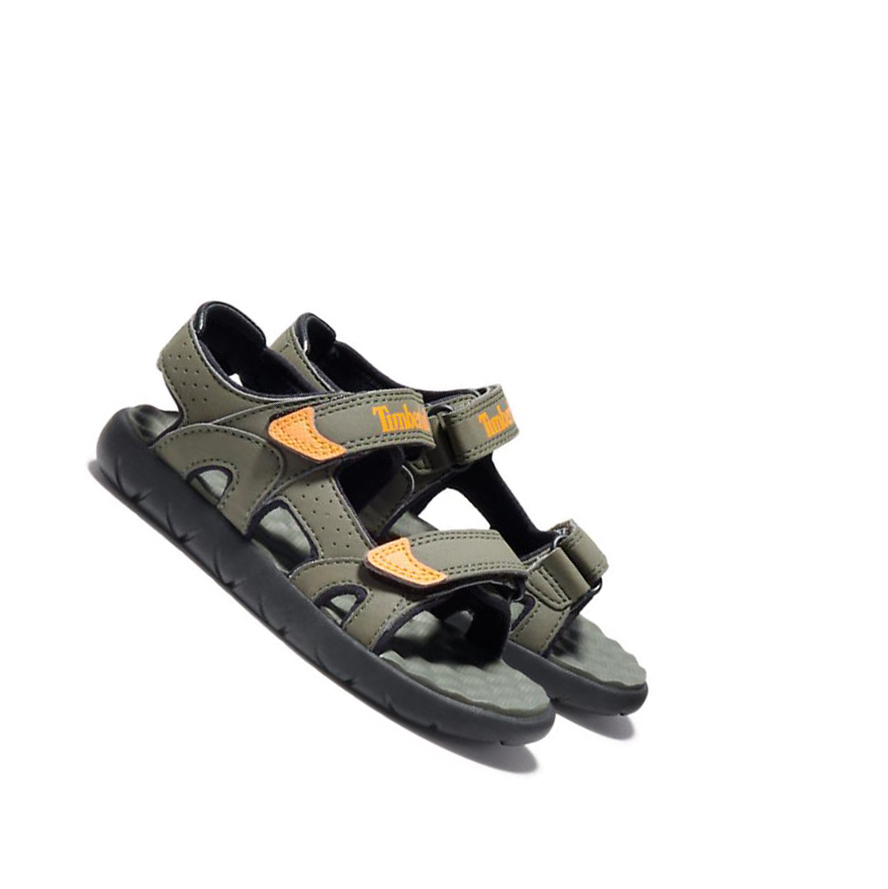 Kids' Timberland Perkins Row 2-Strap Youth Sandals Dark Green | LSZ-497802