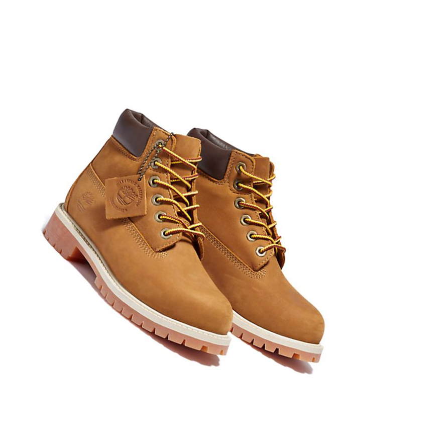 Kids' Timberland Premium Youth Original 6-inch Boots Brown | GMI-094238