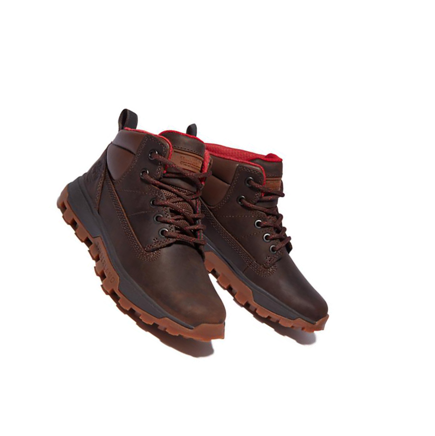 Kids' Timberland Treeline Mid Hiker Youth Chukka Boots Dark Brown | JKD-419372