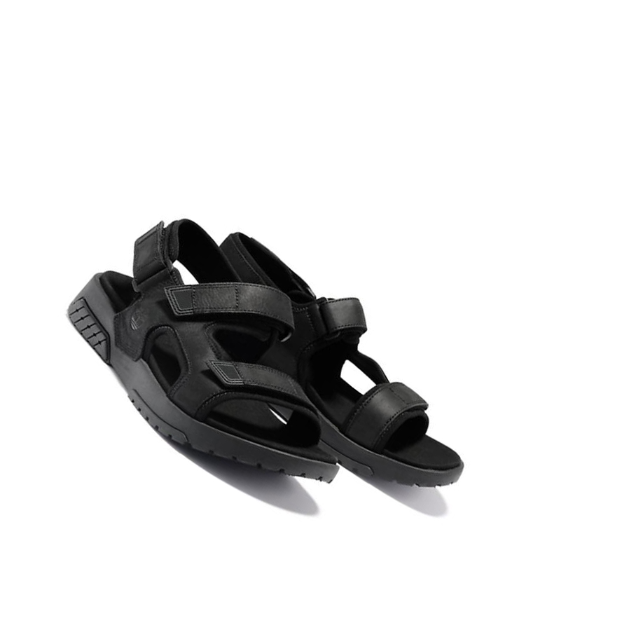 Men's Timberland Anchor Watch Backstrap Sandals Black | NZY-894620