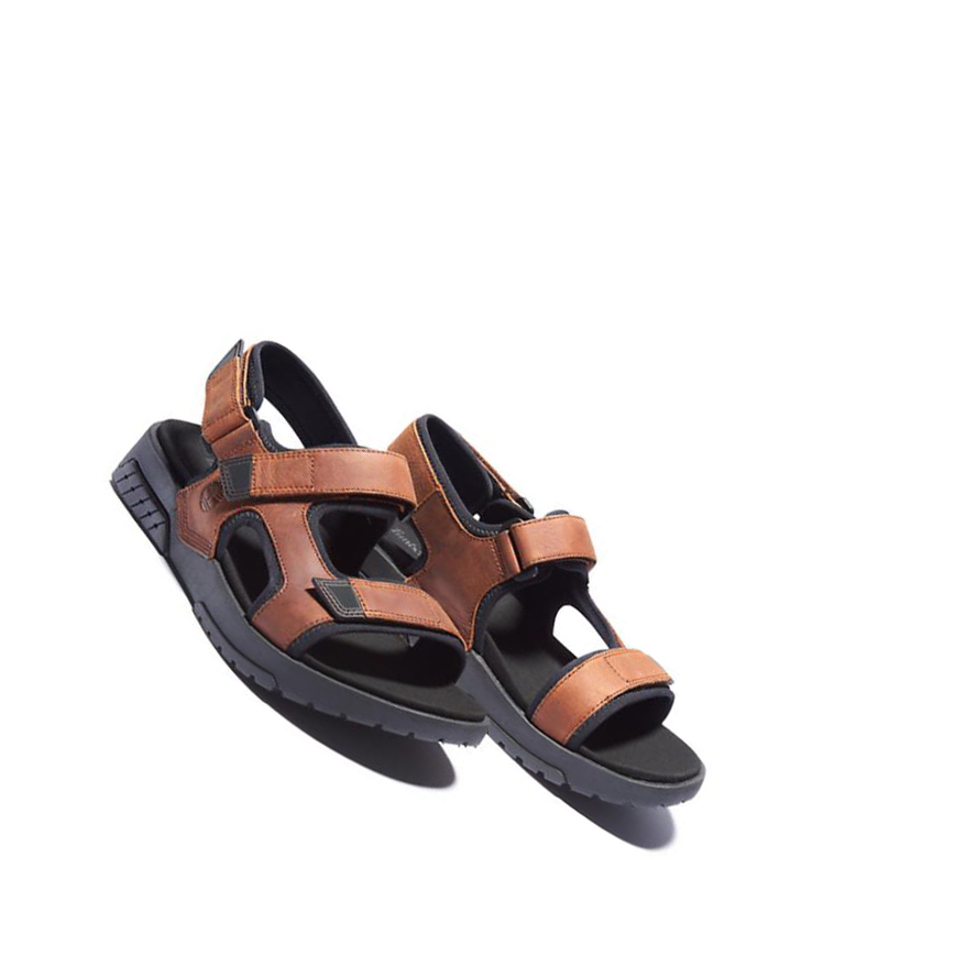 Men's Timberland Anchor Watch Backstrap Sandals Brown | UMN-593812