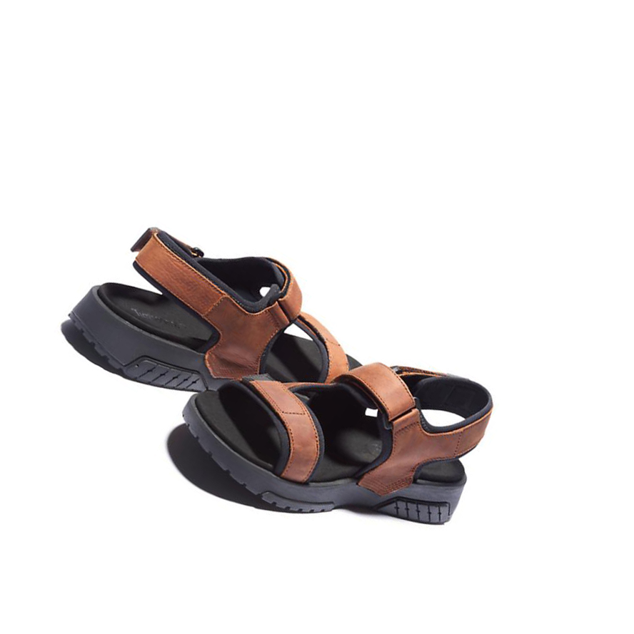 Men's Timberland Anchor Watch Backstrap Sandals Brown | UMN-593812