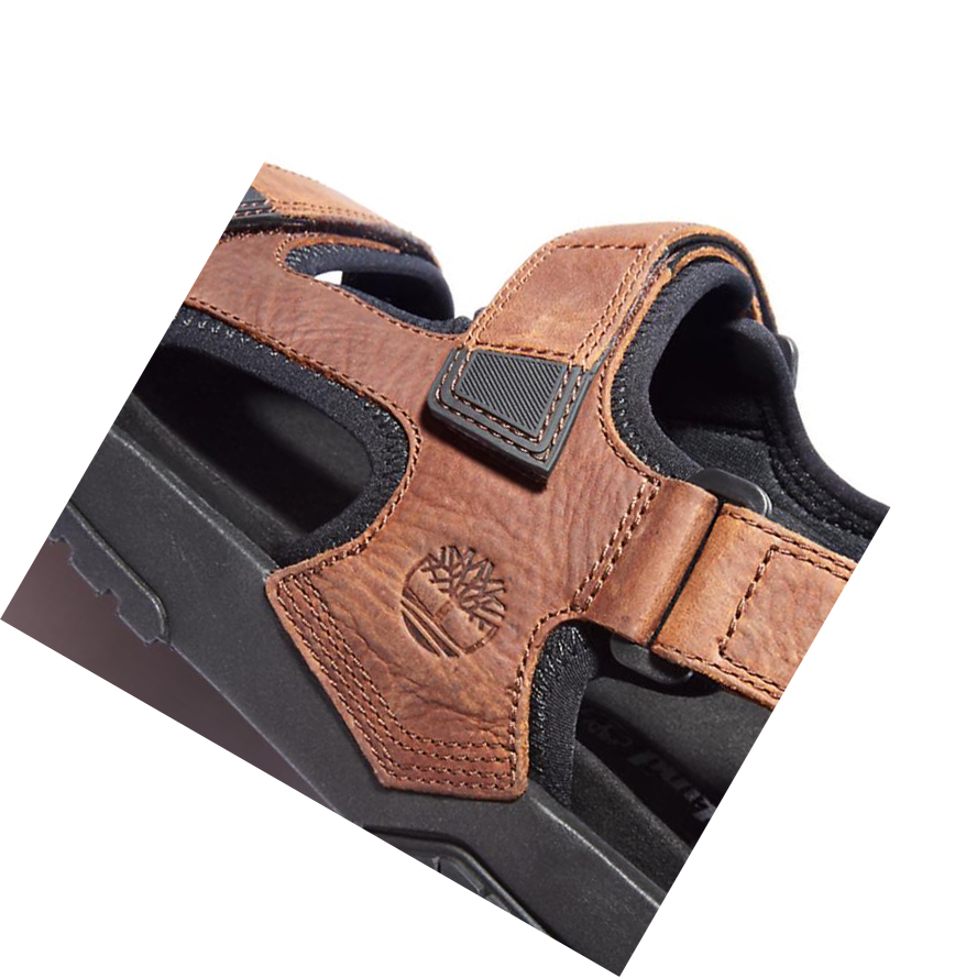 Men's Timberland Anchor Watch Backstrap Sandals Brown | UMN-593812