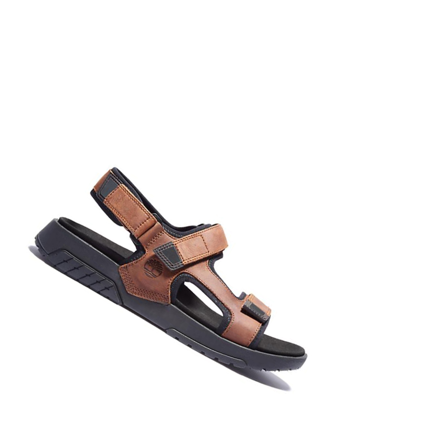 Men\'s Timberland Anchor Watch Backstrap Sandals Brown | UMN-593812