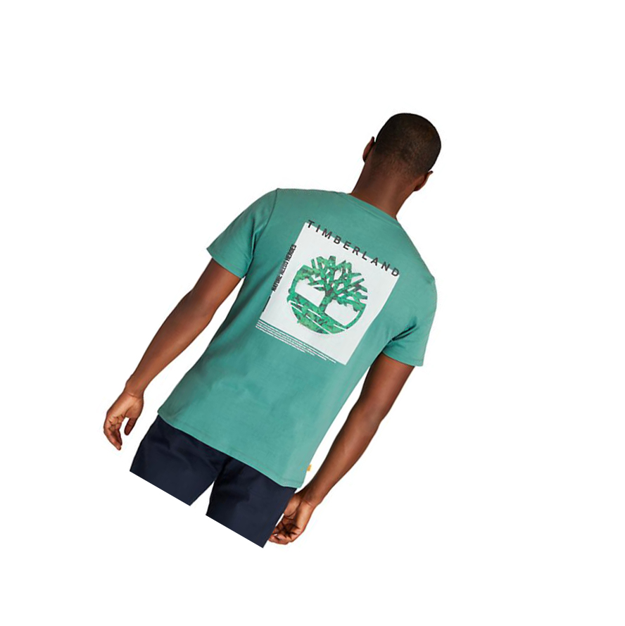 Men's Timberland Back-Graphic Logo T Shirts Green | BDL-792038