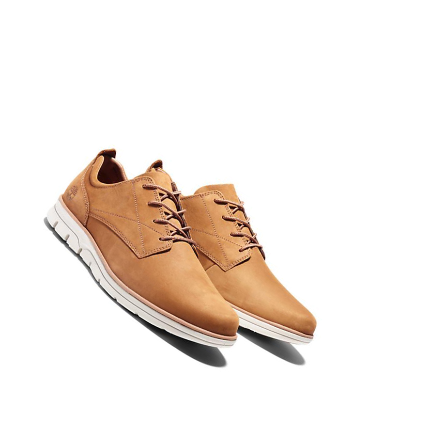 Men's Timberland Bradstreet Casual Shoes Brown | CDA-472356