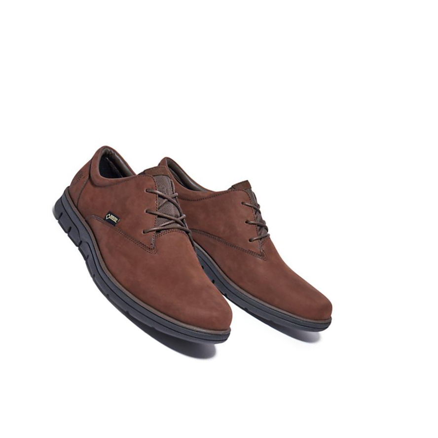 Men's Timberland Bradstreet Gore-Tex® Casual Shoes Dark Brown | WNS-297803