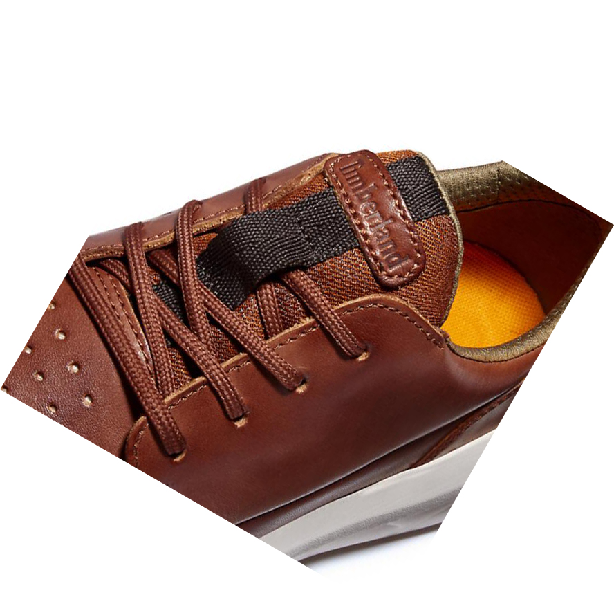 Men's Timberland Bradstreet Ultra Sneakers Brown | JUM-934678