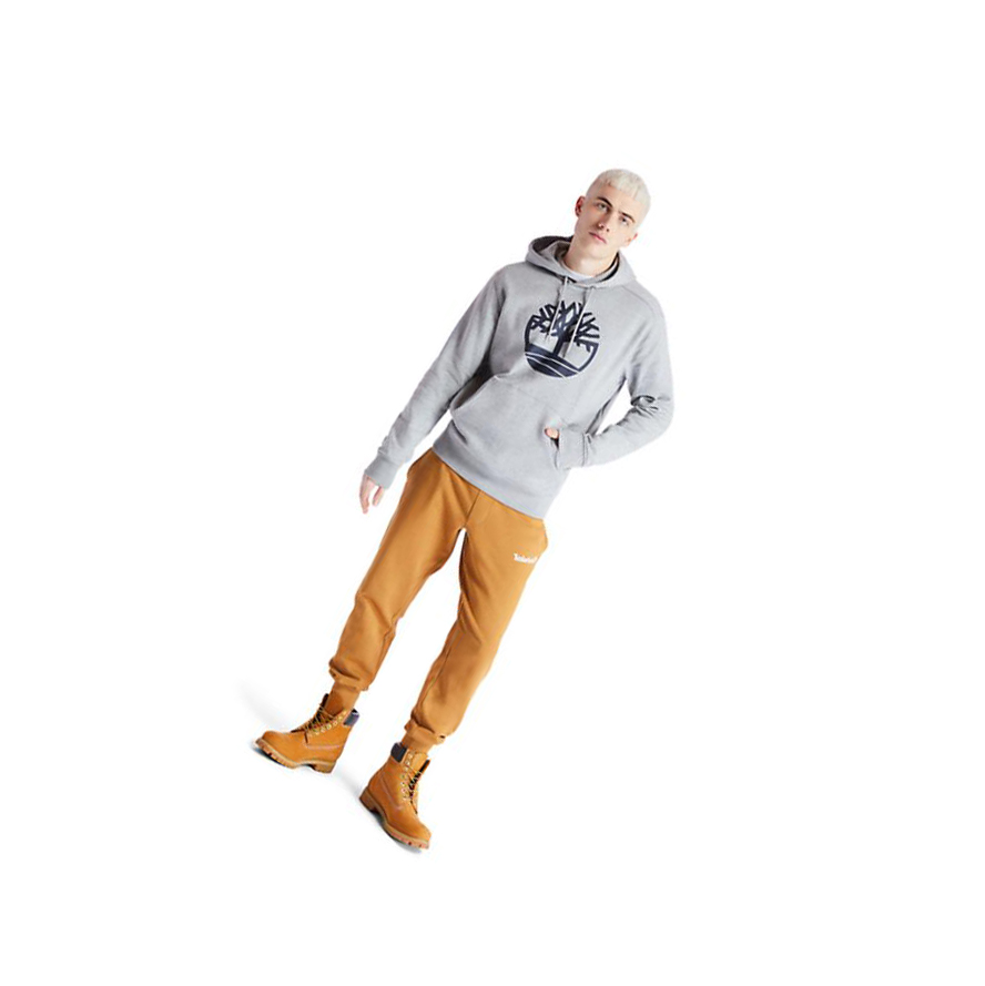 Men's Timberland Core Tree Logo Hoodie Grey | SDX-835406