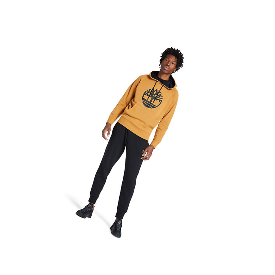 Men's Timberland Core Tree Logo Hoodie Yellow | OZX-576203