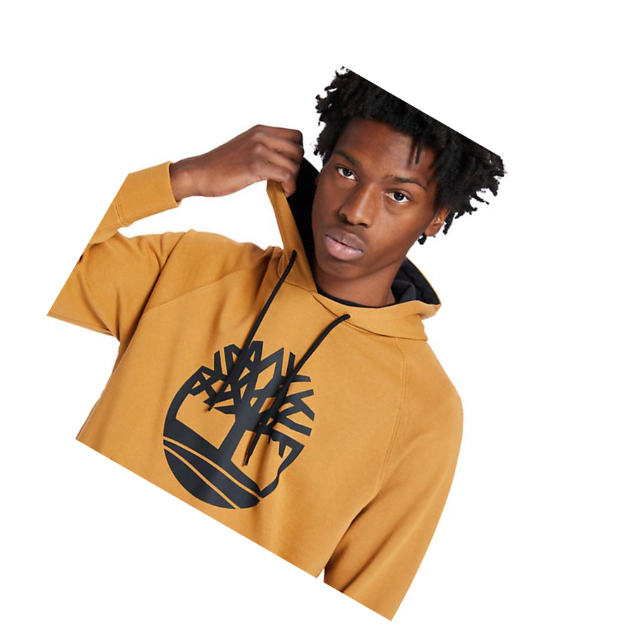 Men's Timberland Core Tree Logo Hoodie Yellow | OZX-576203