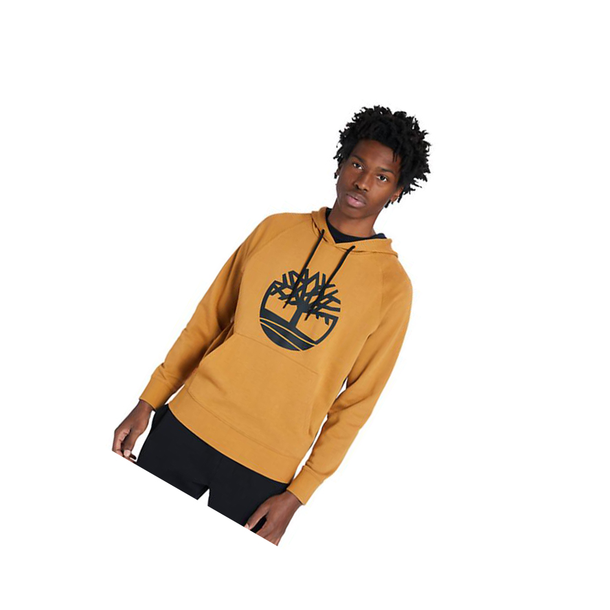 Men\'s Timberland Core Tree Logo Hoodie Yellow | OZX-576203