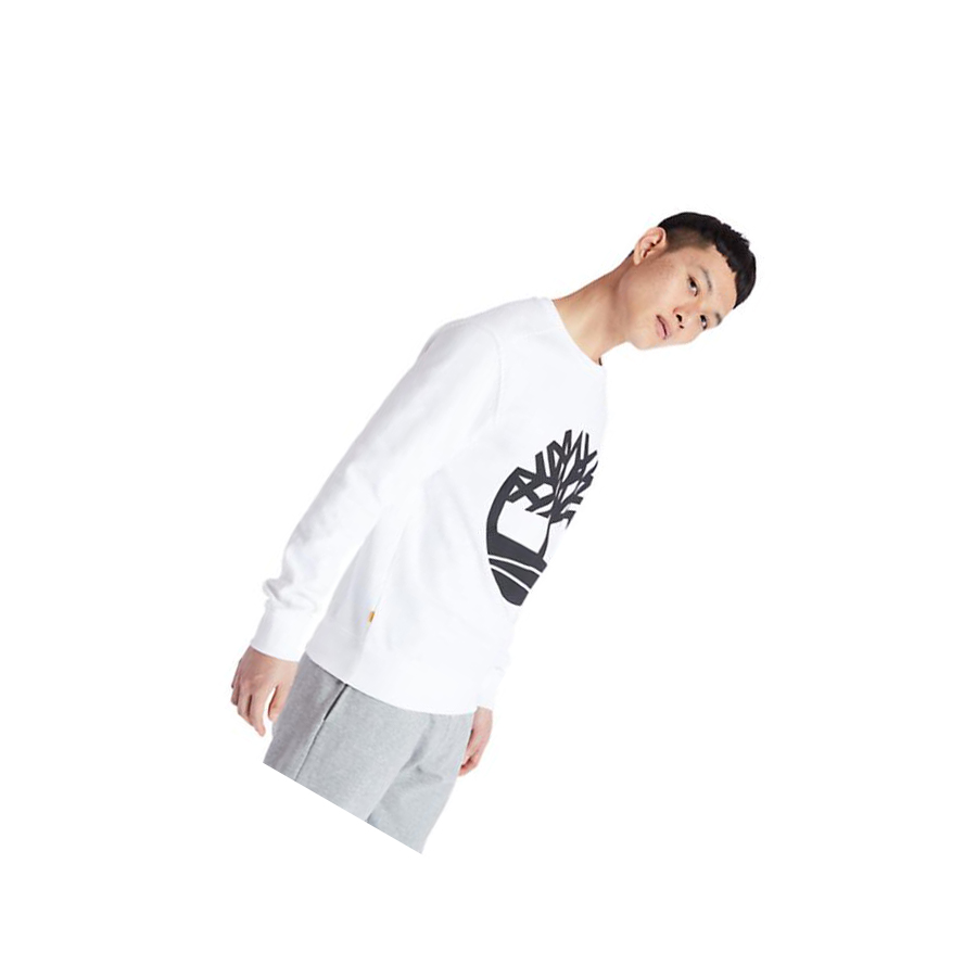 Men's Timberland Core Tree Logo Sweatshirt White | NZH-356941