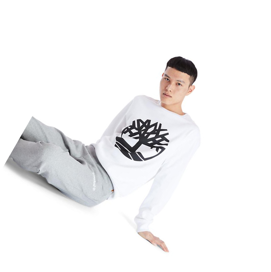 Men's Timberland Core Tree Logo Sweatshirt White | NZH-356941