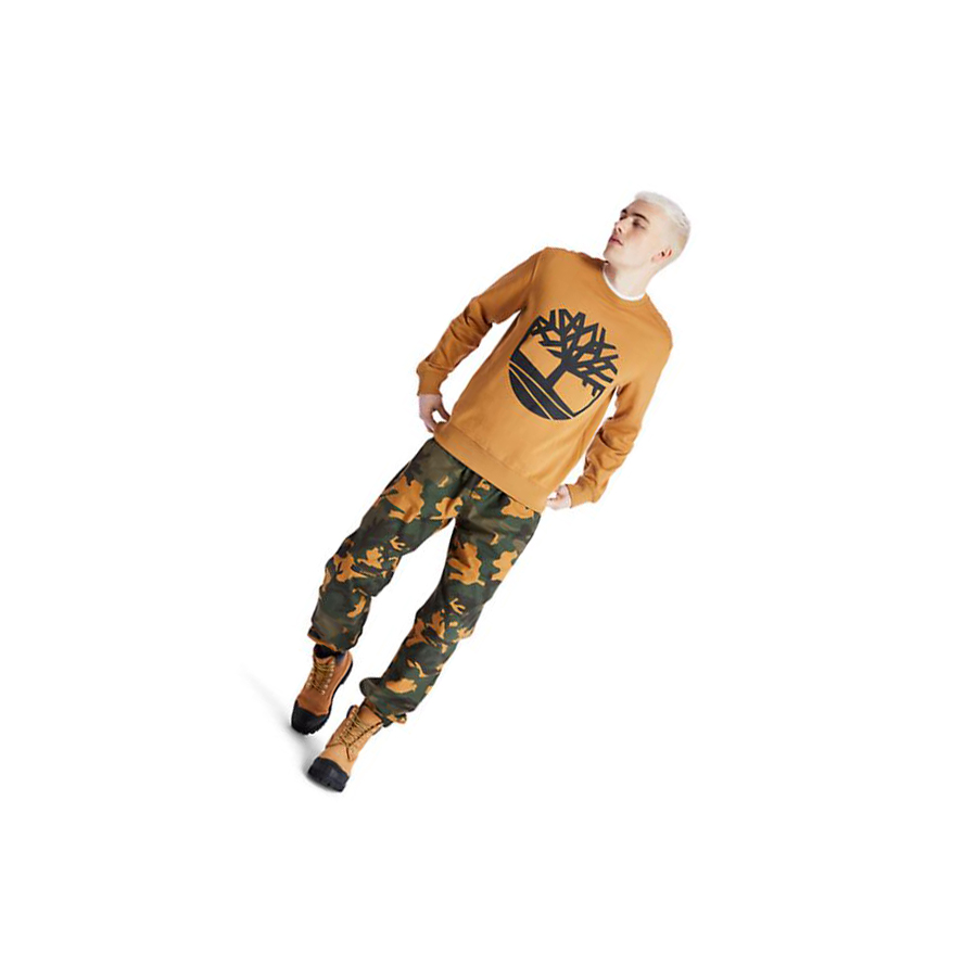 Men's Timberland Core Tree Logo Sweatshirt Yellow | SHU-905746