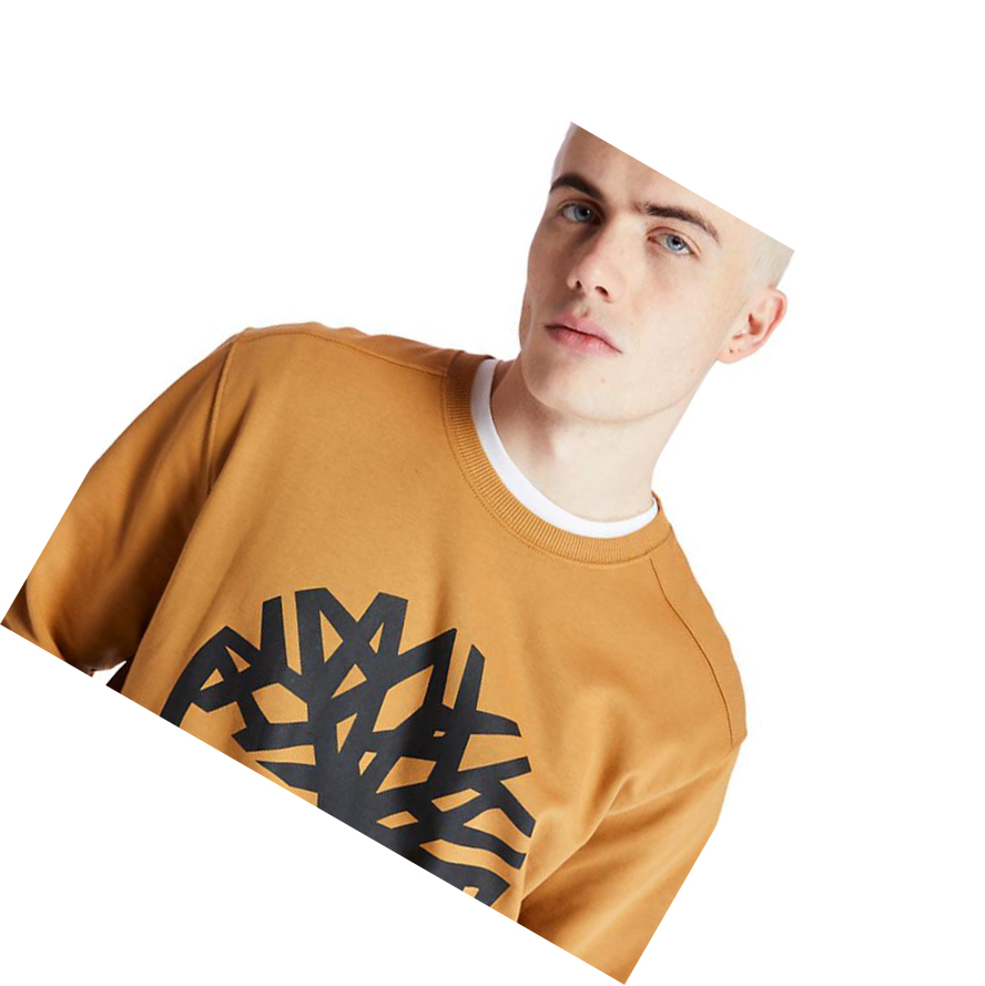 Men's Timberland Core Tree Logo Sweatshirt Yellow | SHU-905746