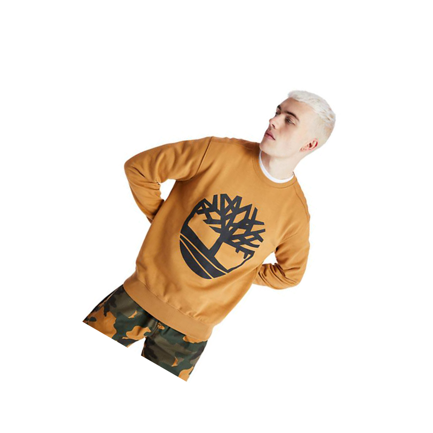 Men\'s Timberland Core Tree Logo Sweatshirt Yellow | SHU-905746