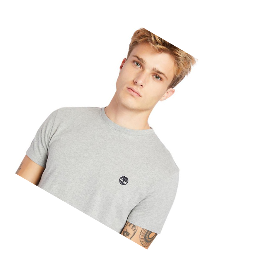 Men's Timberland Dunstan River Crew Tee T Shirts Grey | CPY-078596