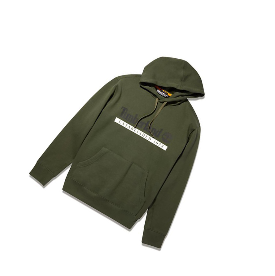 Men's Timberland Established 1973 Hoodie Dark Green | EWV-342905