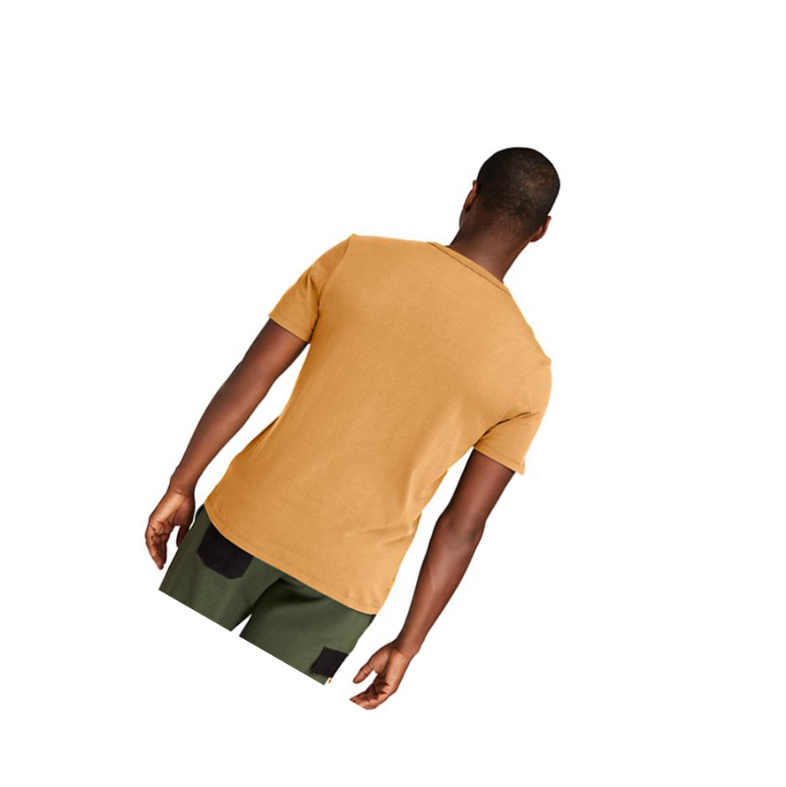 Men's Timberland Established 1973 T Shirts Yellow | DVR-139574