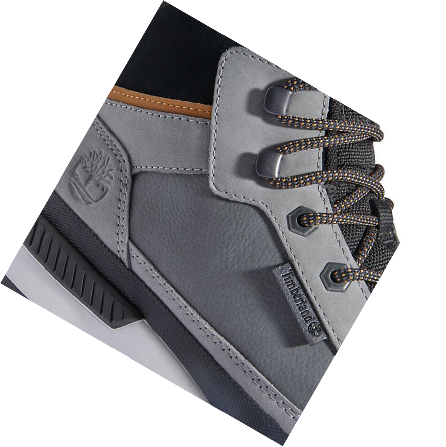 Men's Timberland Field Trekker Chukka Winter Boots Grey | UFP-614392