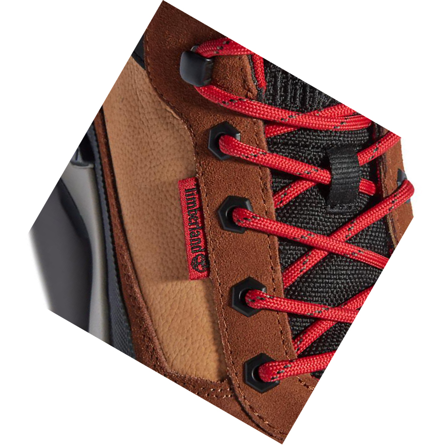 Men's Timberland Field Trekker Sneakers Brown | JSI-029736