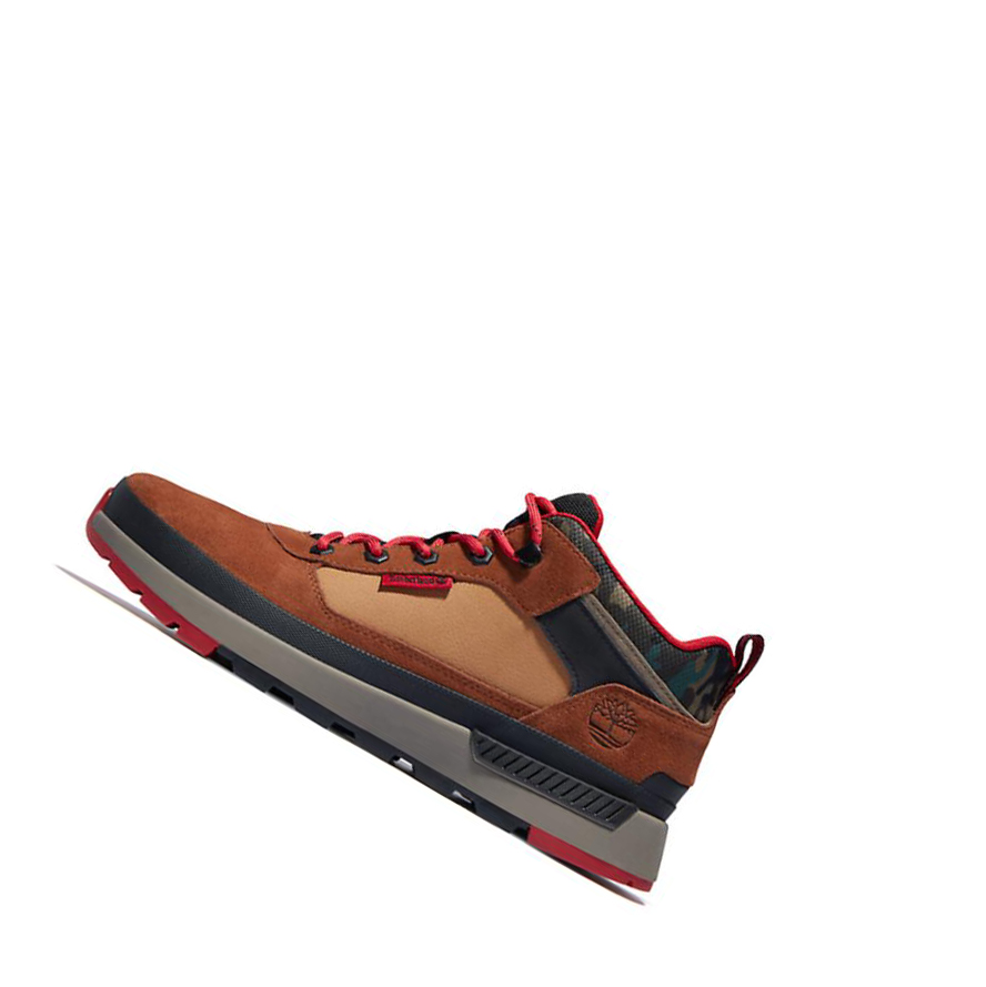 Men's Timberland Field Trekker Sneakers Brown | JSI-029736