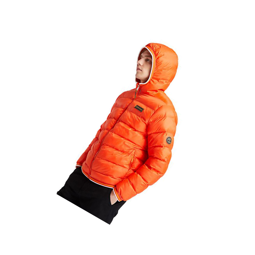 Men's Timberland Garfield Hooded Puffer Jackets Orange | YXJ-250963