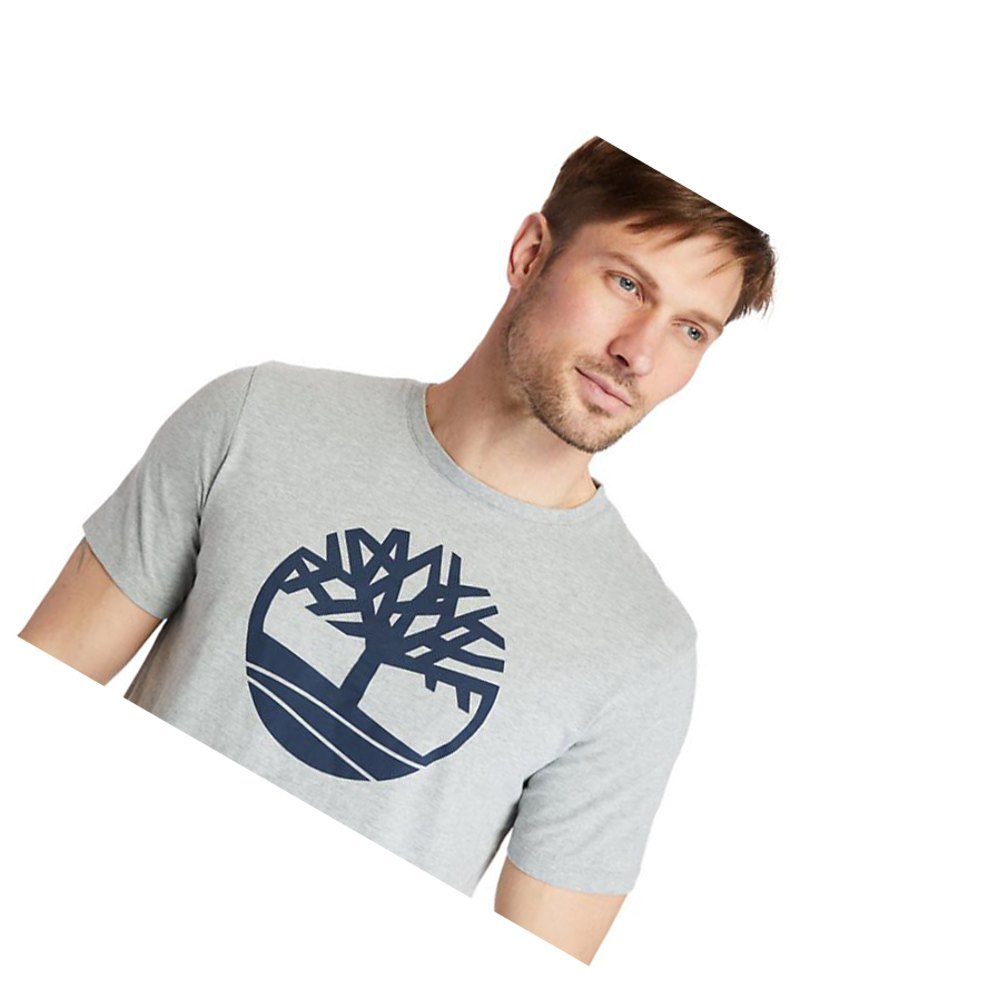 Men's Timberland Kennebec River Tree Logo T Shirts Grey | WMZ-801436