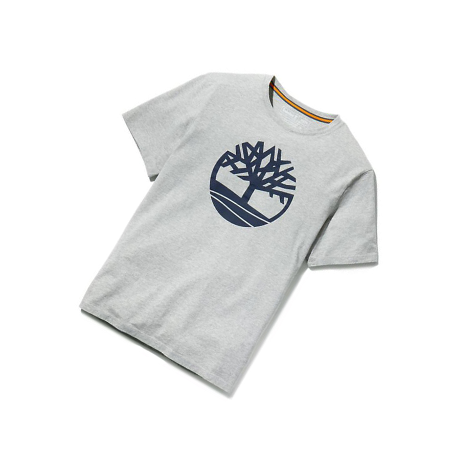 Men's Timberland Kennebec River Tree Logo T Shirts Grey | WMZ-801436