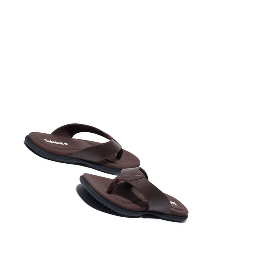 Men's Timberland Kesler Cove Toe-bar Sandals Dark Brown | QXW-963412