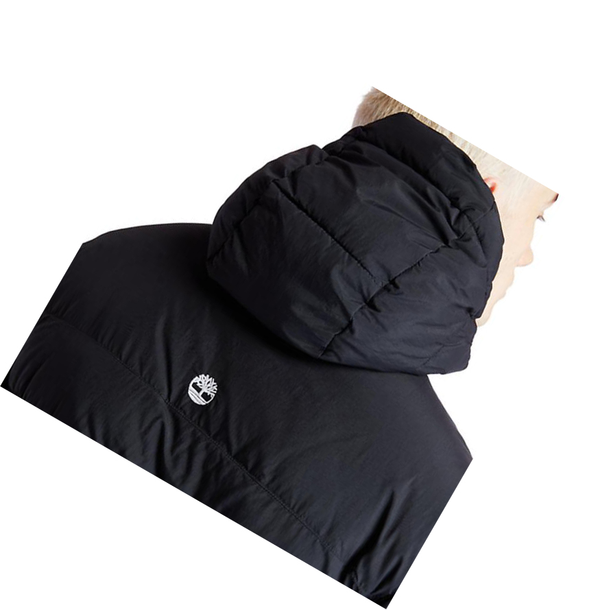 Men's Timberland Outdoor Archive Puffer Bomber Jackets Black | VZL-906573