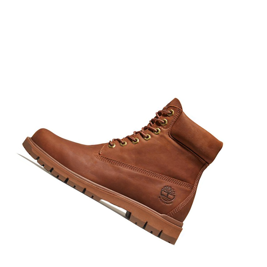 Men's Timberland Radford Original 6-inch Boots Brown | MNH-142965