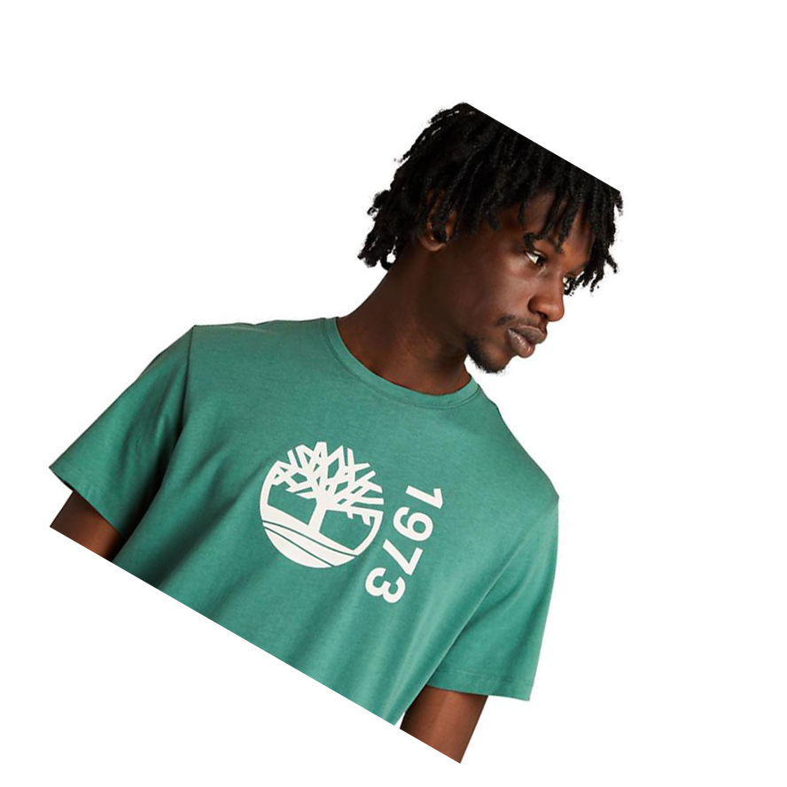 Men's Timberland Re-Comfort EK+ T Shirts Green | VSJ-406175