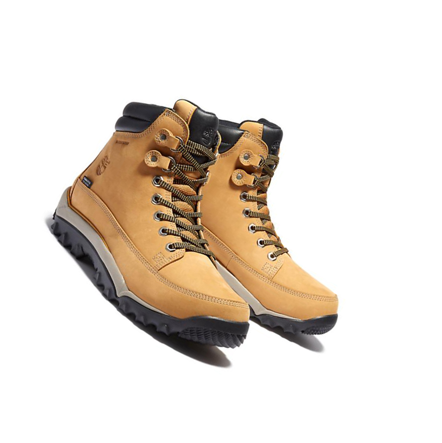 Men's Timberland Rime Ridge Mid Winter Boots Yellow | IYE-371480