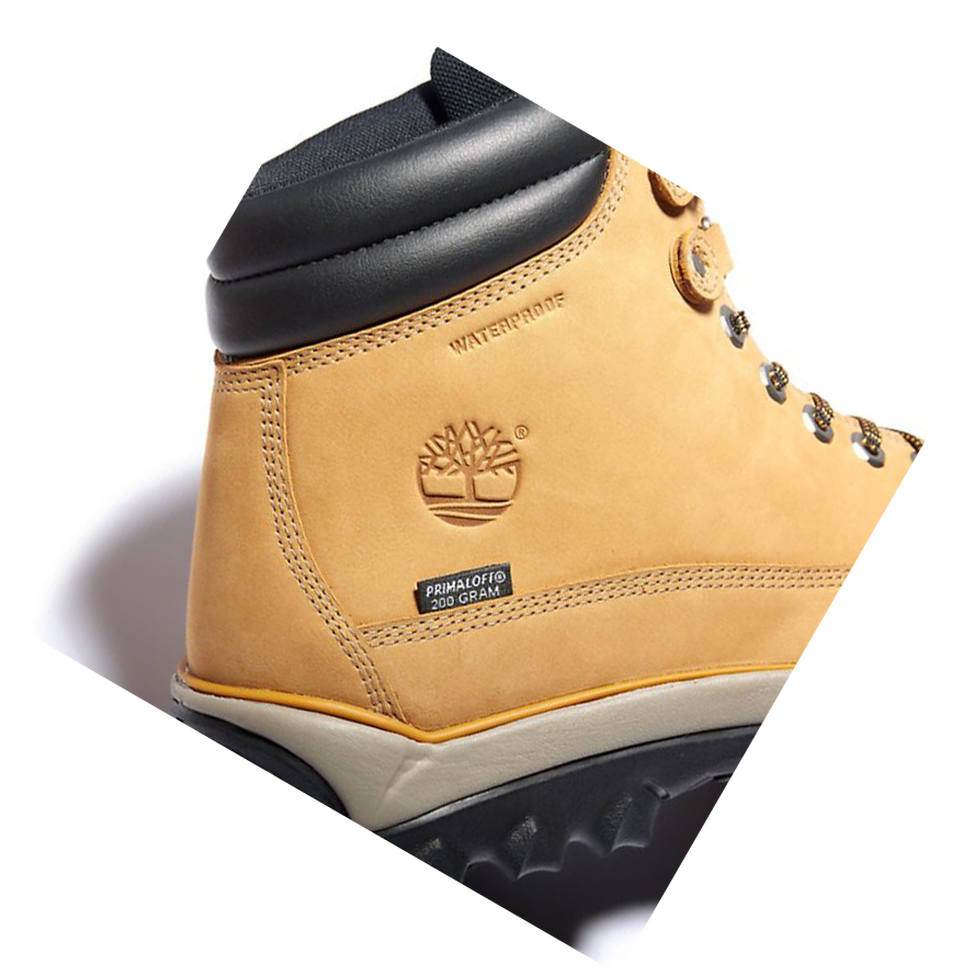 Men's Timberland Rime Ridge Mid Winter Boots Yellow | IYE-371480