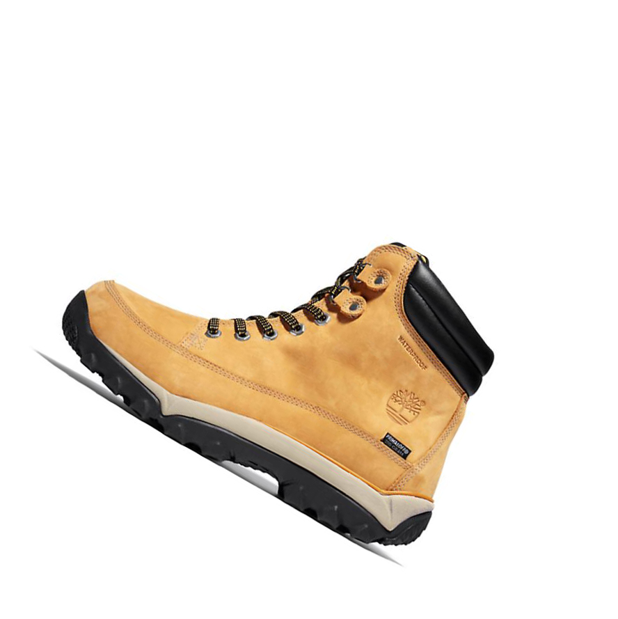 Men's Timberland Rime Ridge Mid Winter Boots Yellow | IYE-371480