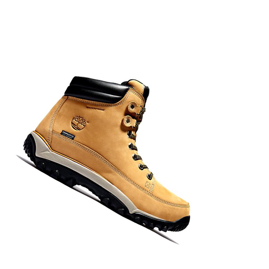 Men\'s Timberland Rime Ridge Mid Winter Boots Yellow | IYE-371480