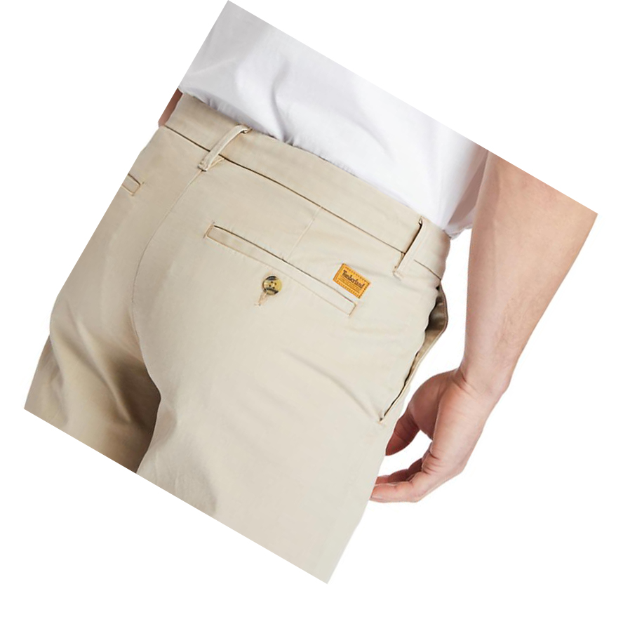 Men's Timberland Squam Lake Stretch Chino Shorts Beige | LPB-724351