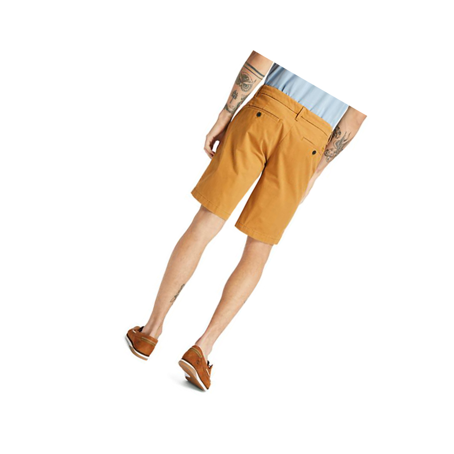 Men's Timberland Squam Lake Stretch Chino Shorts Dark Yellow | RIC-962401