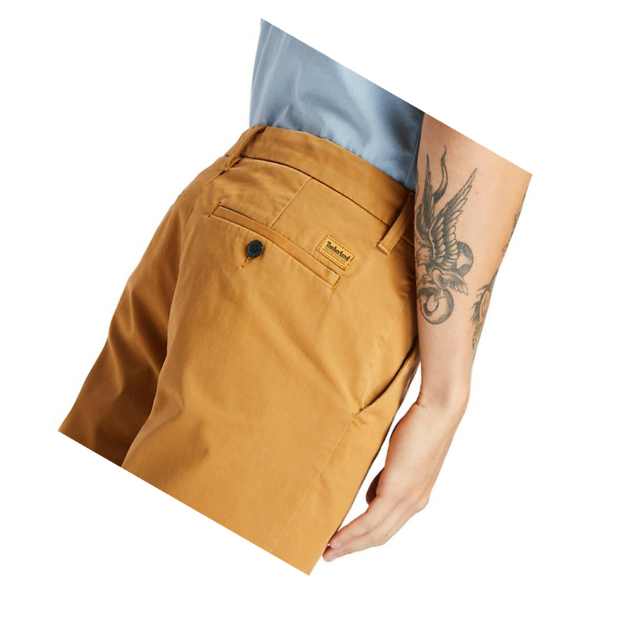 Men's Timberland Squam Lake Stretch Chino Shorts Dark Yellow | RIC-962401