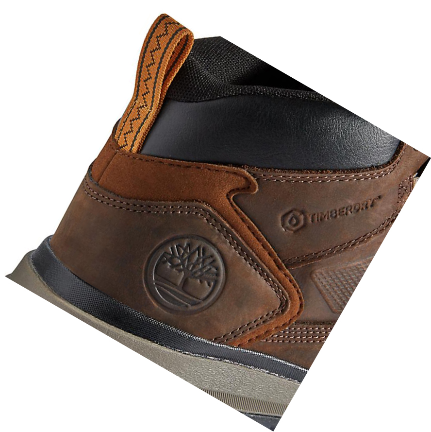 Men's Timberland Treeline Hiker Chukka Boots Dark Brown | GPS-386172