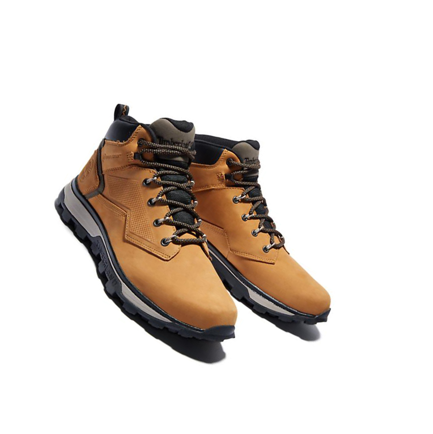 Men's Timberland Treeline Hiker Chukka Boots Yellow | TRU-034982