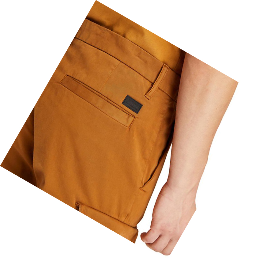 Men's Timberland Ultrastretch Cargo Pants Brown | EHL-482376