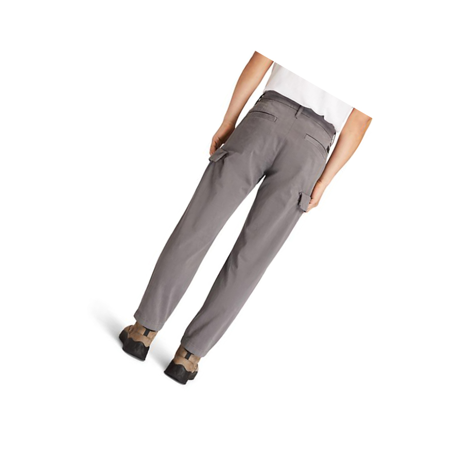 Men's Timberland Ultrastretch Cargo Pants Grey | FQE-841026