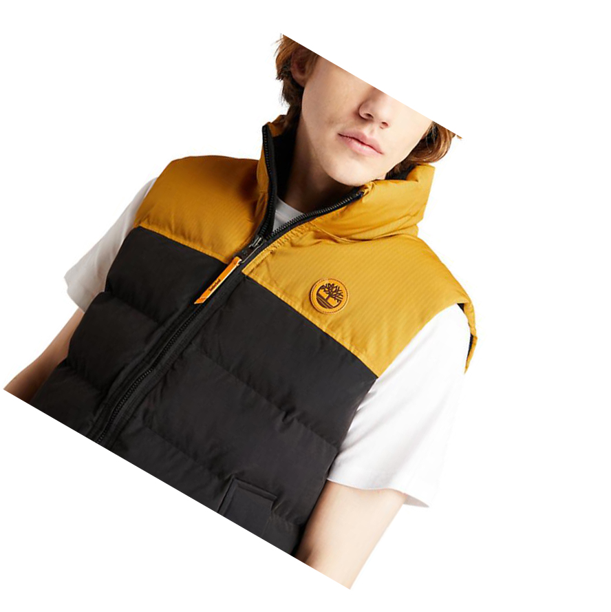 Men's Timberland Welch Mountain Puffer Vest Black | XNK-013265