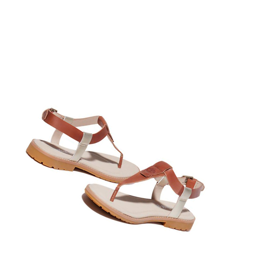 Women's Timberland Chicago Riverside Thong Sandals Brown | MKQ-042853